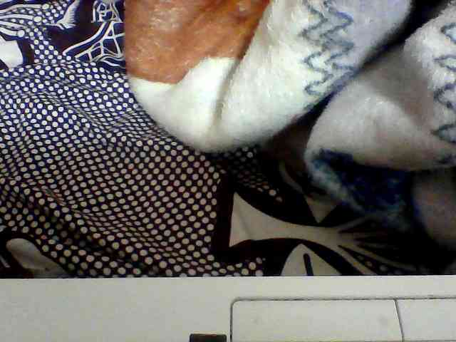Clarah1 webcam
