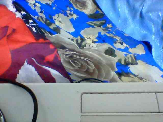 Clarah1 webcam