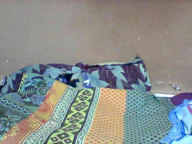 Clarah1