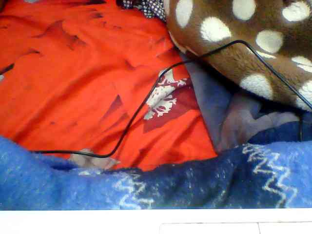 Clarah1 webcam