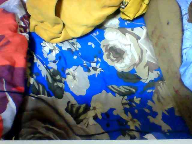 Clarah1 webcam