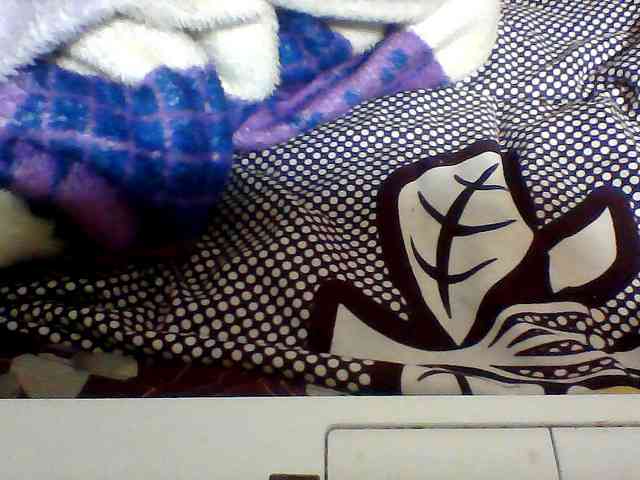 Clarah1 webcam