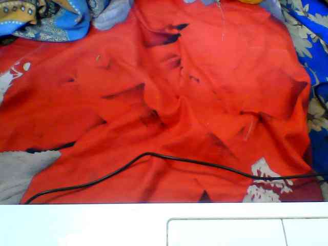 Clarah1 webcam
