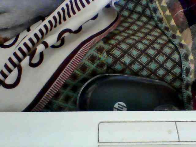 Clarah1 webcam