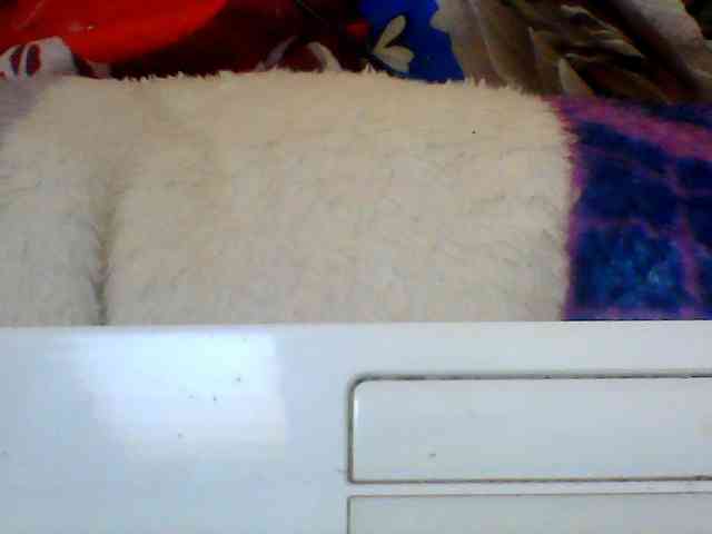 Clarah1