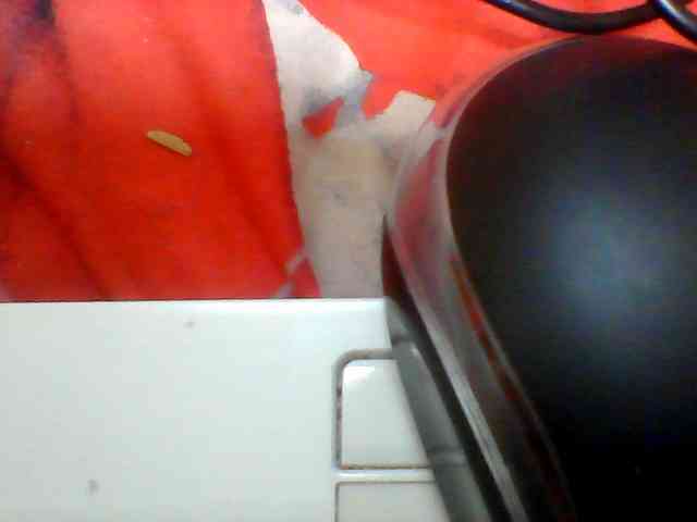 Clarah1 webcam
