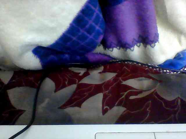 Clarah1 webcam