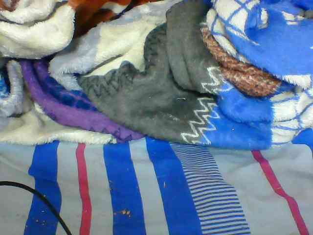 Clarah1 webcam