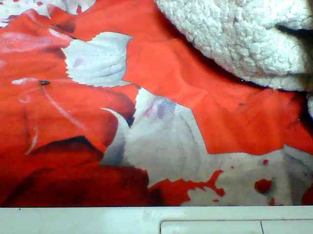 Clarah1 Clarah1