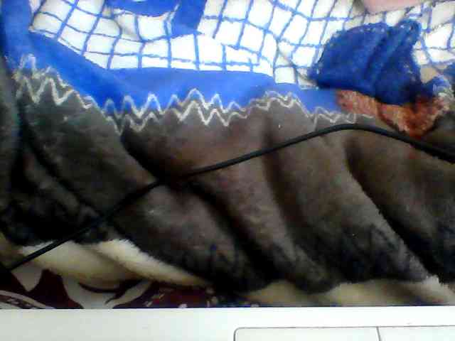 Clarah1 webcam