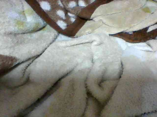 Clarah1 webcam
