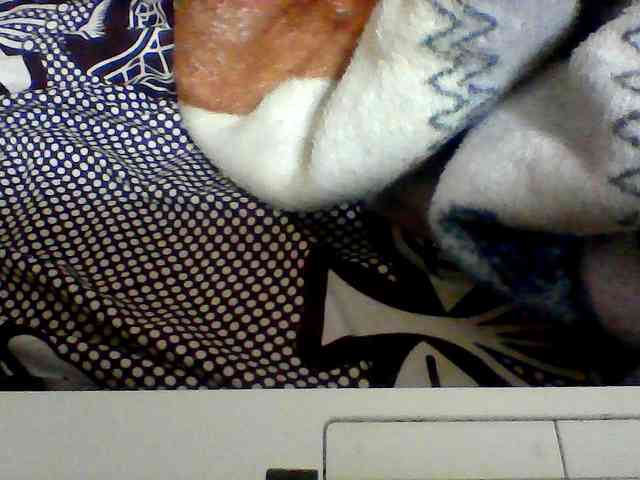 Clarah1 webcam
