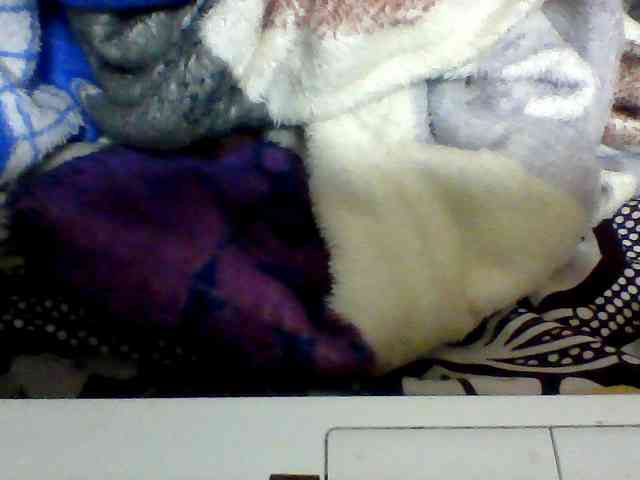 Clarah1 webcam