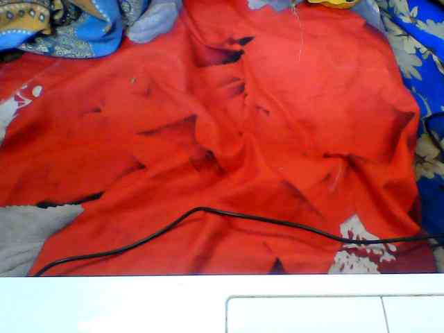 Clarah1 webcam