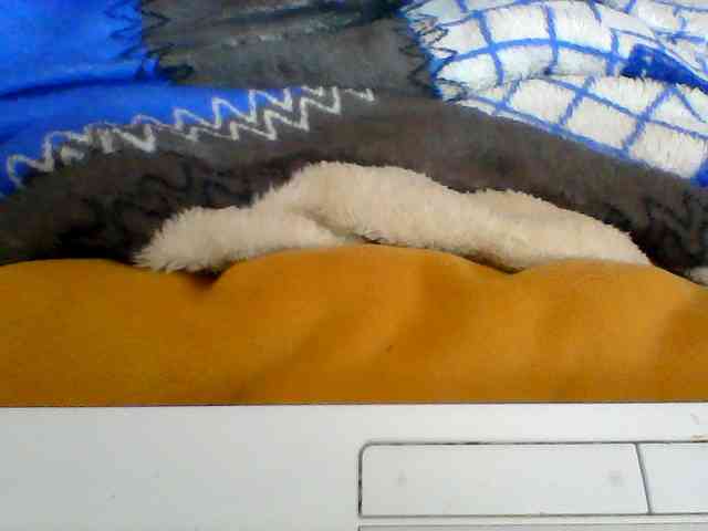 Clarah1 webcam