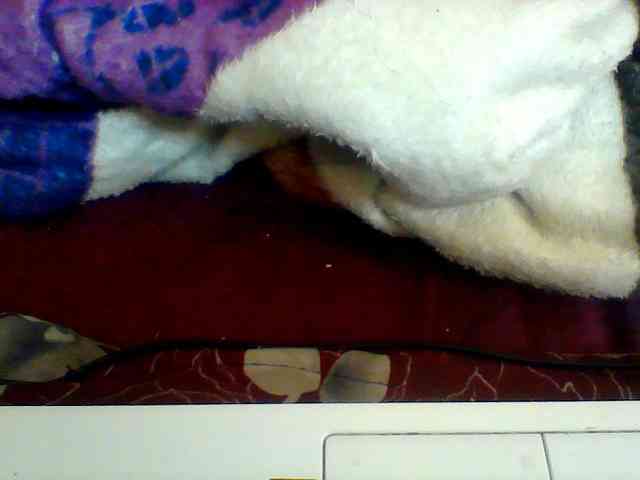 Clarah1 webcam