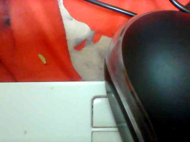 Clarah1 Clarah1