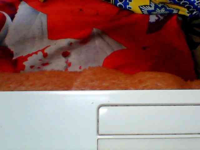 Clarah1 webcam