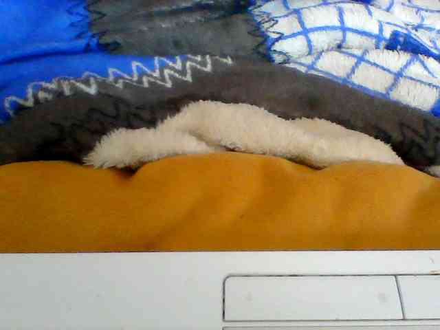 Clarah1 webcam