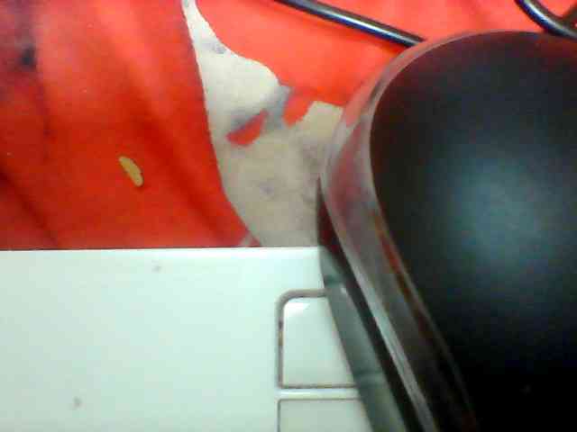 Clarah1 webcam