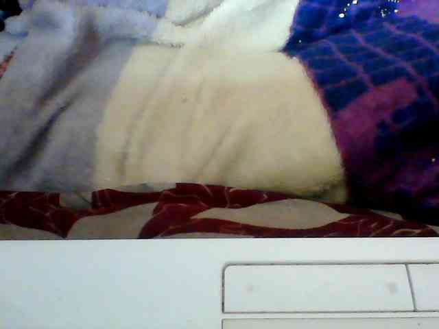 Clarah1