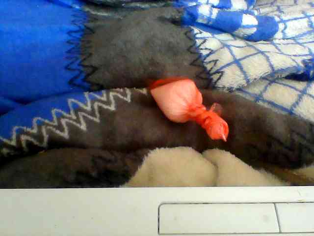 Clarah1 webcam