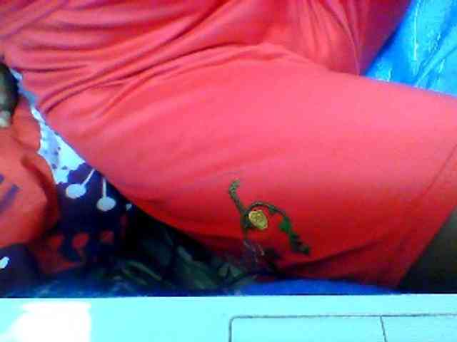 Clarah1 webcam