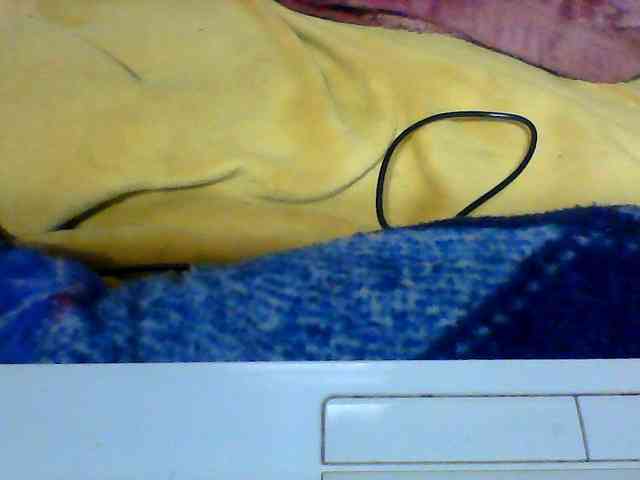 Clarah1 webcam