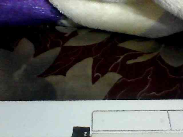 Clarah1 webcam