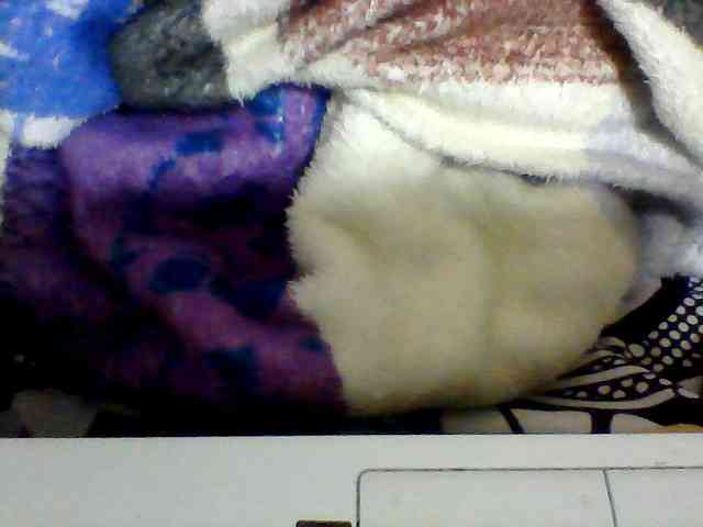 Clarah1 webcam