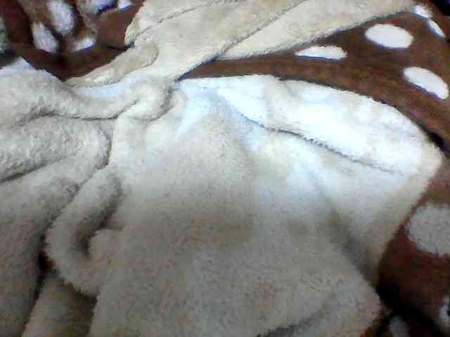 Clarah1 webcam