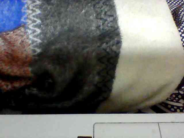 Clarah1 webcam