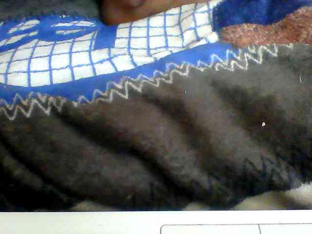 Clarah1 webcam