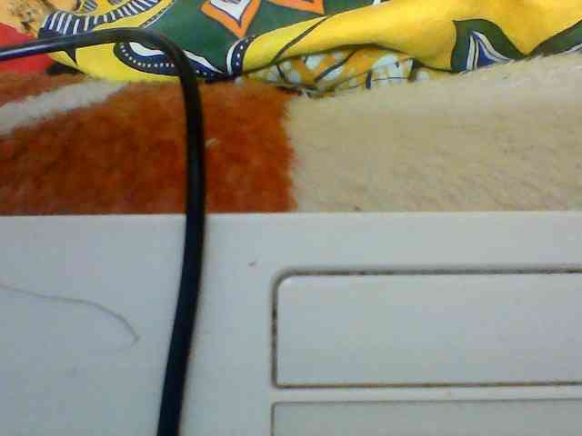 Clarah1 webcam
