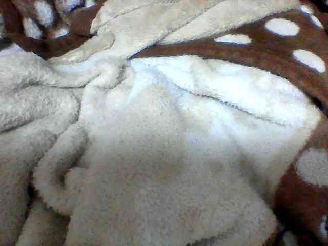 Clarah1 webcam