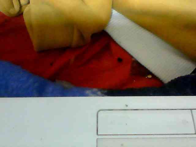 Clarah1 webcam