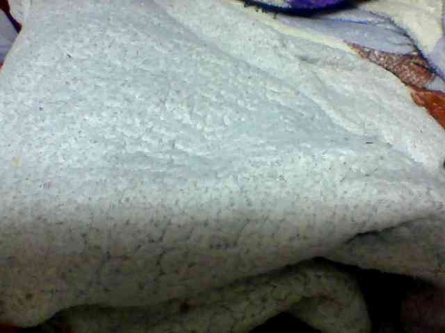 Clarah1 webcam