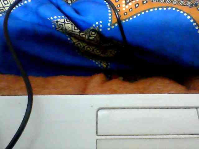 Clarah1 webcam
