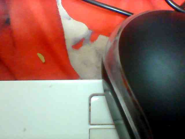 Clarah1 webcam