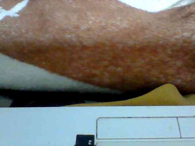 Clarah1 webcam