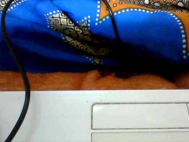 Clarah1 webcam