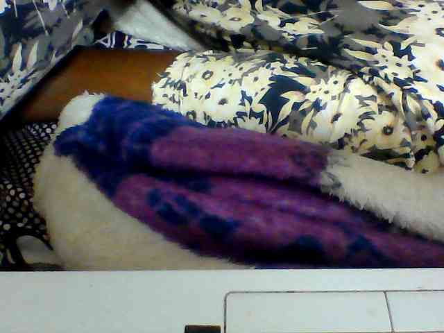 Clarah1 webcam