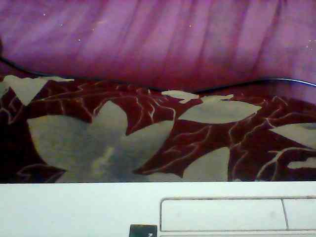 Clarah1 webcam