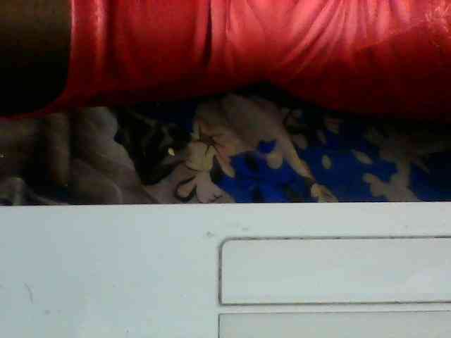 Clarah1 webcam