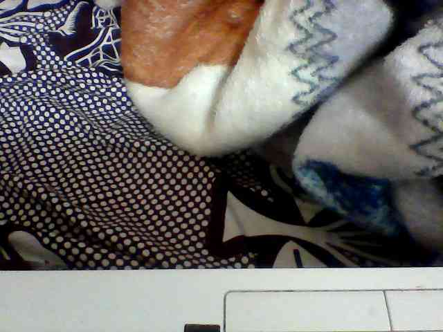 Clarah1 webcam