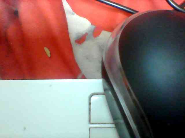 Clarah1 webcam