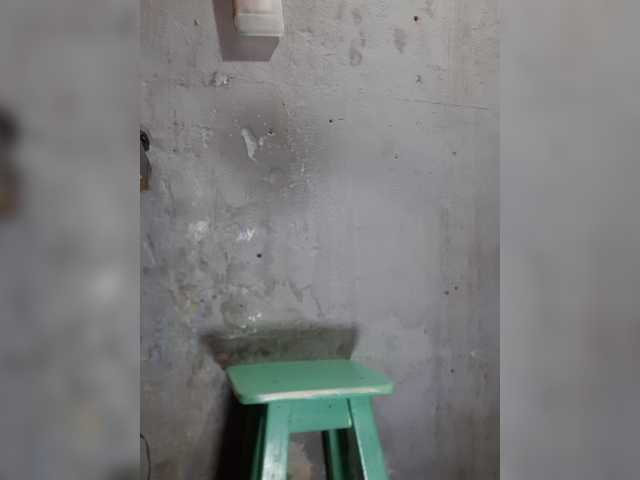 Serclem1