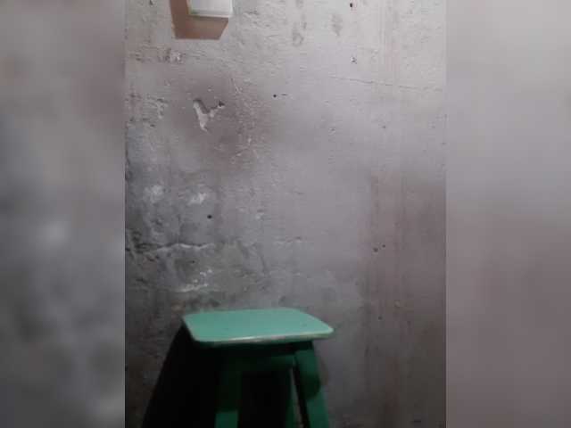 Serclem1