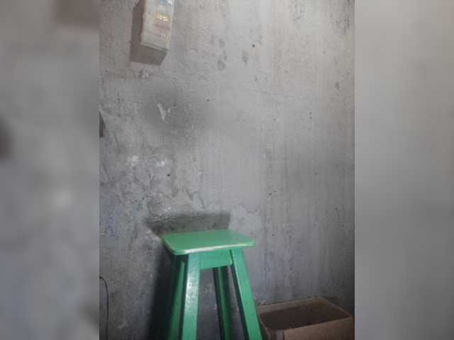 Serclem1
