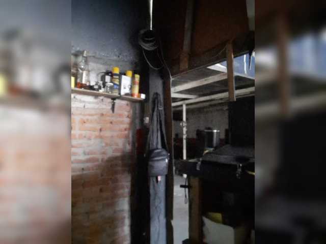 Serclem1